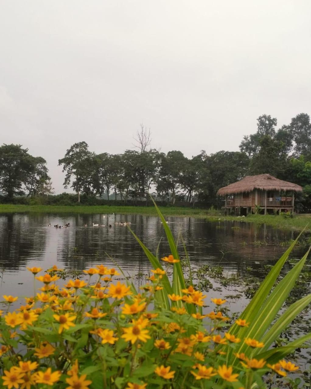 Yagdrasill Bamboo Cottage Bamungaon Экстерьер фото